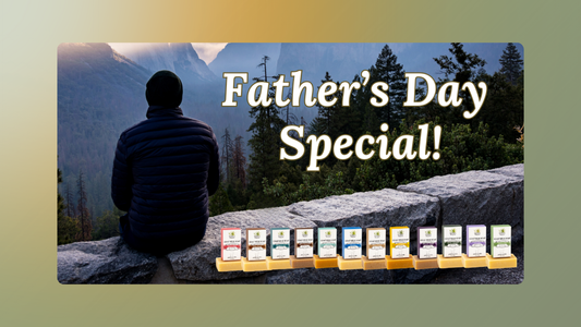 Celebrating the Dads Who Care for Us