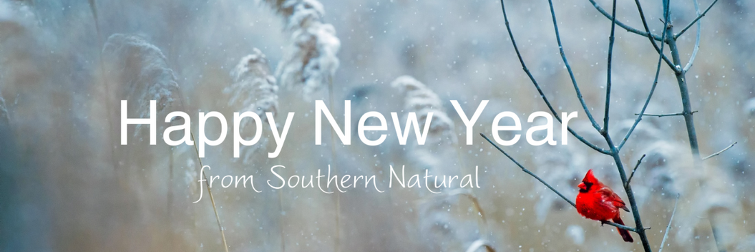 Celebrating New Beginnings & Natural Skincare