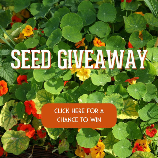 Meet Survival Garden Seeds