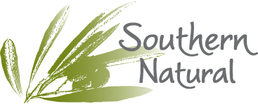 Southern Natural LLC