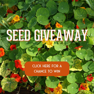 Meet Survival Garden Seeds + Seed Giveaway Contest